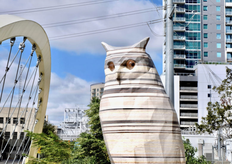 Austin, Let’s Talk About These Owl Sculptures Downtown TOWERS