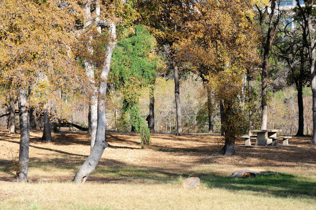 Meet Kingsbury Commons, a 13Acre Transformation at Austin’s Pease Park
