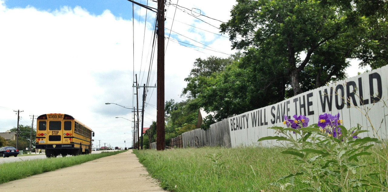 The painted fences of North Lamar Boulevard. Photo courtesy of the Beauty Will Save the World Project.